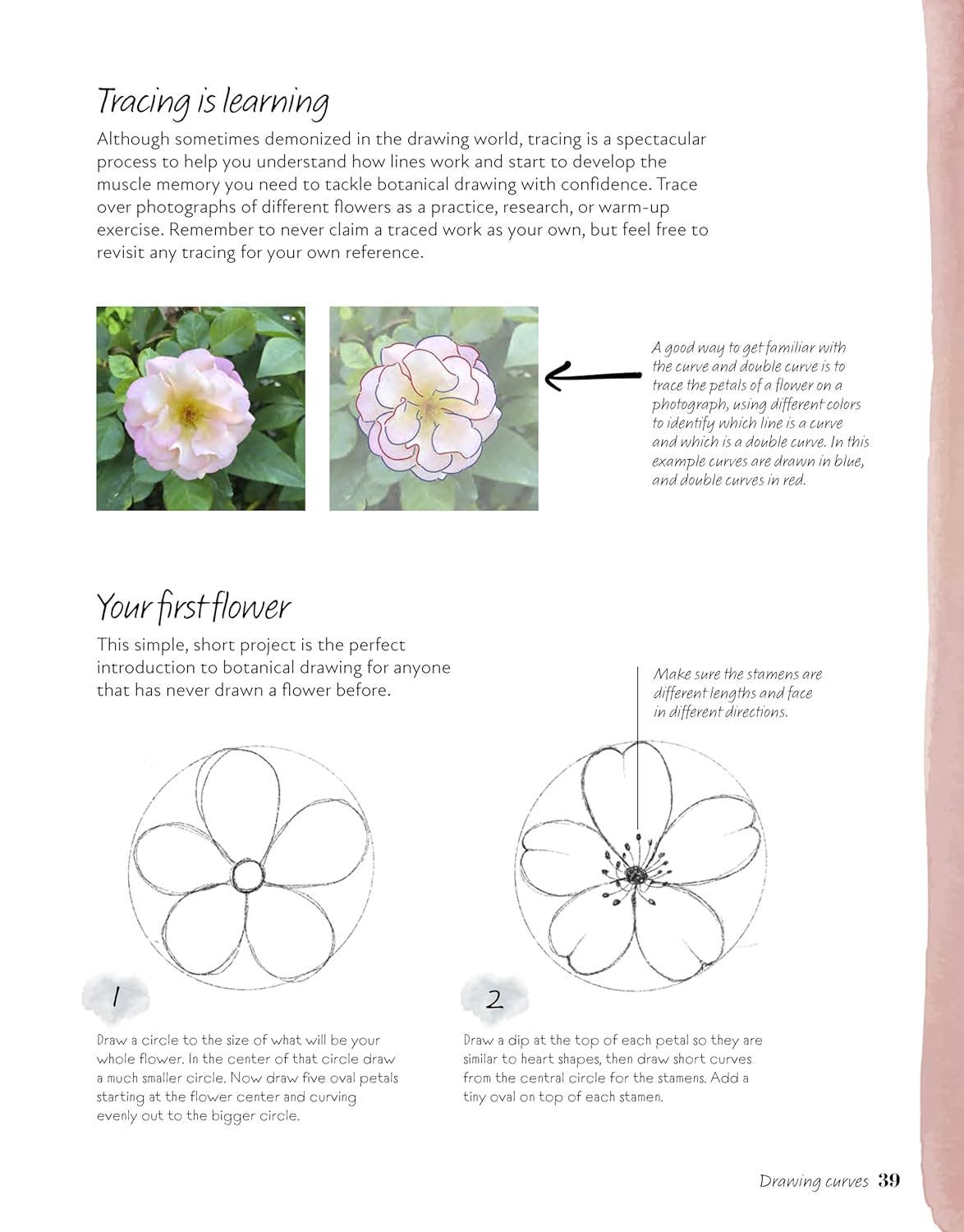 Easy Steps to Drawing Flowers - Lessons For Drawing