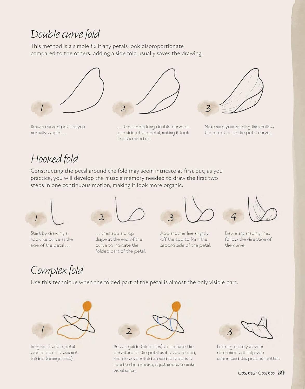 Easy Steps to Drawing Flowers - Lessons For Drawing